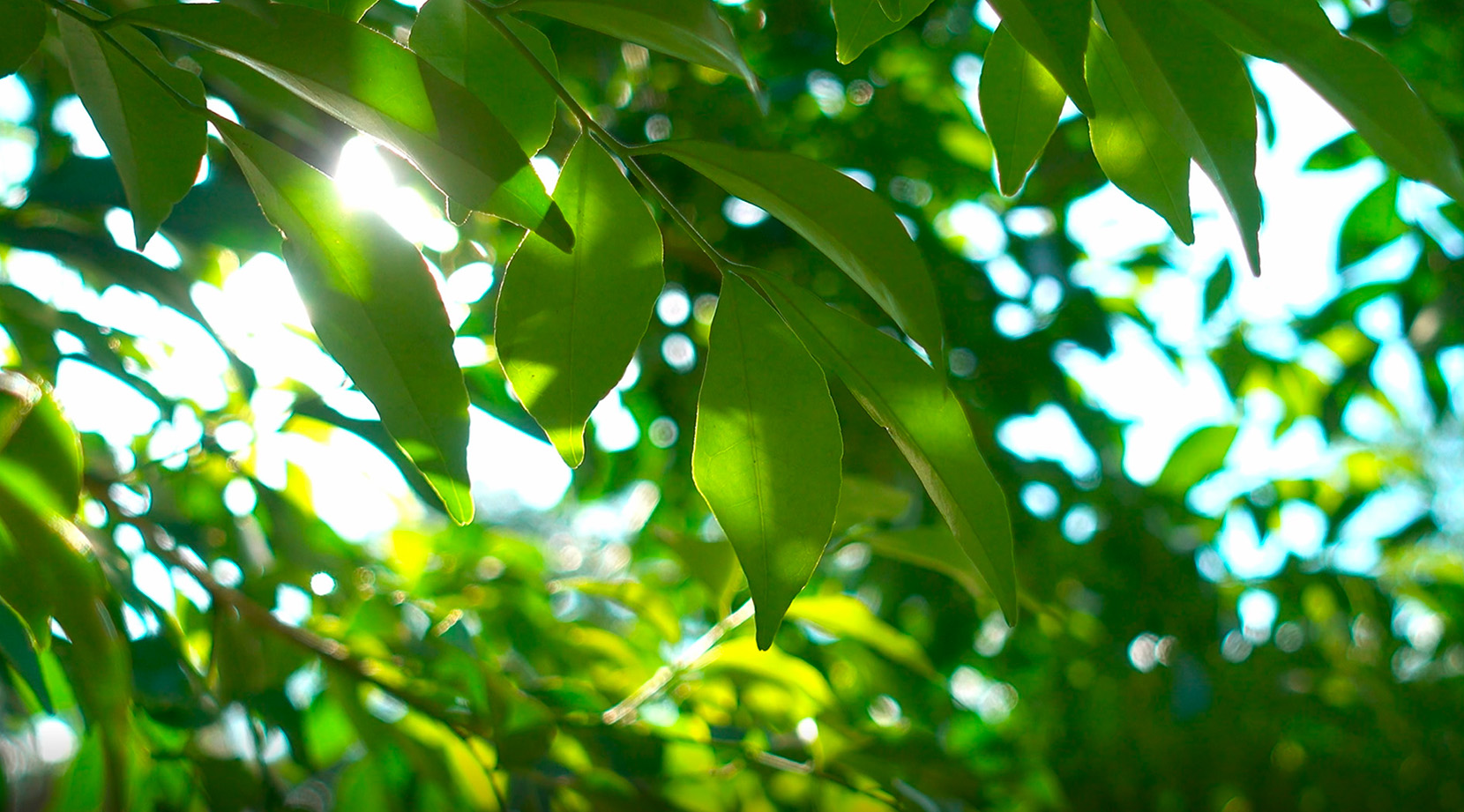 Where is Matrix Play 99?